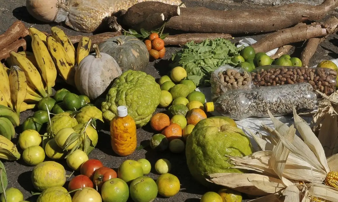 Inscrição para agricultores no Cadastro da Agricultura Familiar, por meio do CadÚnico, estão abertas               